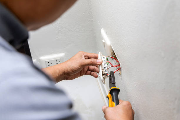 Best Electric Panel Repair  in Sunset Hills, MO